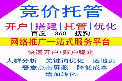 网络推广策略：竞价广告的实践案例